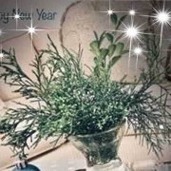 Meet your Posher, Cindy - Picture 1 of 1